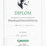 Diplom SKK uppfödarutbildning, parning och valpning